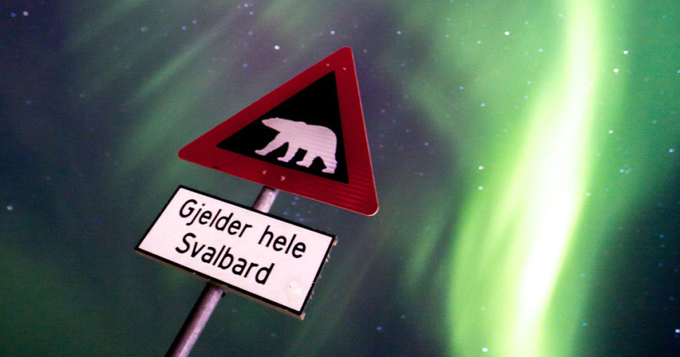 Op avontuur in Spitsbergen - Tekstenwereld